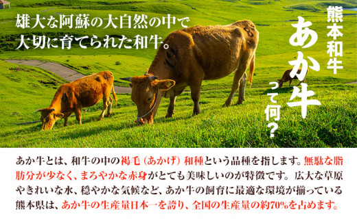 熊本和牛 ランプステーキ 150g×2枚 あか牛のたれ付き 希少部位 熊本県産 あか牛 赤牛 あかうし 三協畜産《30日以内に出荷予定(土日祝除く)》