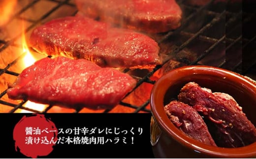 壺漬けハラミ6Pセット 壺漬け ハラミ  小分け 個包装 牛肉 バーベキュー BBQ アウトドア タレ 漬け 焼肉 やきにく 350g×6 簡単 冷凍 牛 ごはんのおとも 