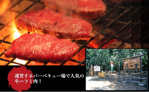 壺漬けハラミ6Pセット 壺漬け ハラミ  小分け 個包装 牛肉 バーベキュー BBQ アウトドア タレ 漬け 焼肉 やきにく 350g×6 簡単 冷凍 牛 ごはんのおとも 