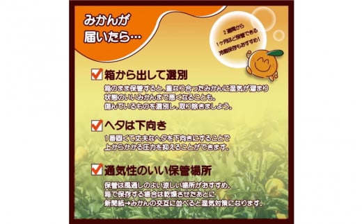 【訳あり】2S～3Lサイズおまかせ！有田みかん 6kg+1kg保証分 11月から12月下旬までに順次発送致します。 / 訳ありみかん 有田みかん みかん ミカン 蜜柑 柑橘 温州みかん 和歌山 ご家庭用【fkn001B】