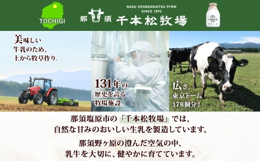 栃木県 千本松牧場 アイスクリーム 6個 牛乳 生乳 ミルク 搾りたて 搾乳 新鮮 アイス 濃厚 甘い さっぱり すっきり なめらか デザート スイーツ おやつ 人気 グルメ ご褒美 贅沢 ギフト 贈り物 贈答品 セット 詰め合わせ お取り寄せ 送料無料 那須塩原市 ns040-008