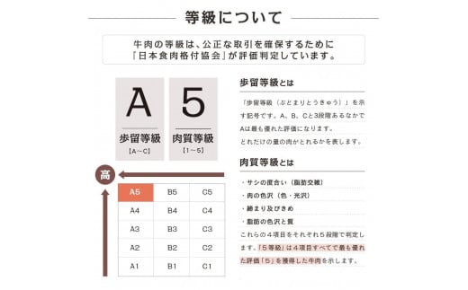 【定期便/全３回-３カ月連続お届け】A5等級　鹿児島県産黒毛和牛味わい定期便（しゃぶしゃぶすき焼きセット800g・焼肉セット400g・赤身ステーキ600g）