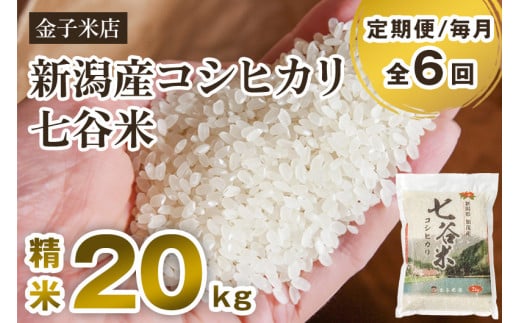 【令和6年産新米】【定期便6ヶ月毎月お届け】老舗米穀店が厳選 新潟産 従来品種コシヒカリ「七谷米」精米20kg（5kg×4）白米 窒素ガス充填パックで鮮度長持ち 金子米店