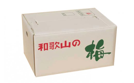 【梅干・梅酒用】（2LまたはL－2Kg）熟南高梅＜2025年6月上旬～7月上旬ごろに順次発送予定＞【art010A】