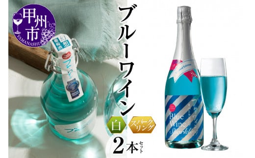 余市町感謝祭2024】lot64 ドメーヌ・タカヒコ「トオルの