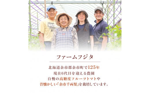 2024年9月下旬発送予定【先行予約】千両梨 10kg箱(20玉前後) 北海道産 余市町産　シャキシャキとした食感とサッパリとした甘みが特徴 季節限定 千両梨 季節の味覚 10kg 箱 20玉 前後 梨 ほぼ余市町でしか生産されていない 果物 フルーツ 贈り物 ギフト フルーツギフト お取り寄せ 北海道 余市町産 送料無料