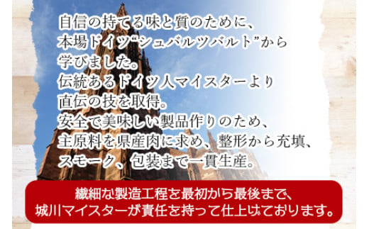 ＜城川自然牧場 厚切りベーコンセット（80g×4種+厚切りモーツァルト85g）＞スライス ガーリックベーコン ショルダーベーコン 七味ベーコン 豚肉 加工品 おかず おつまみ ギフト 贈答用 城川ファクトリー 愛媛県 西予市【冷蔵】『1か月以内に順次出荷予定』