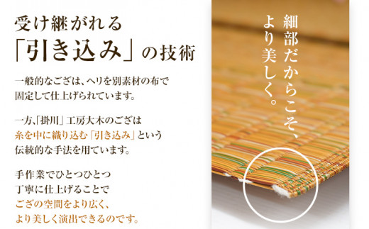 純国産天然いぐさ「掛川 虹」１畳 （黒色）純国産 いぐさ い草 天然 自家生産 掛川 ラグ BG022