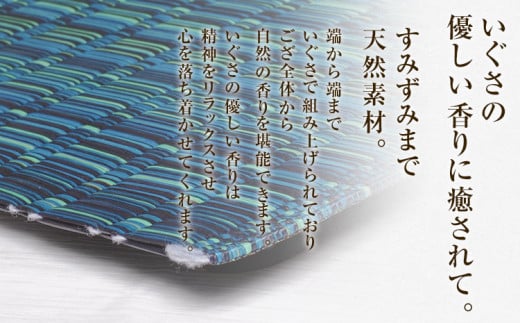 純国産天然いぐさ「掛川 虹」１畳 （黒色）純国産 いぐさ い草 天然 自家生産 掛川 ラグ BG022