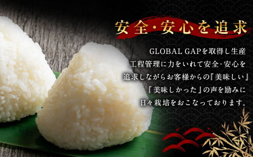 A4091 【令和6年産米】新潟県岩船産 コシヒカリ 精米 2kg×3個セット