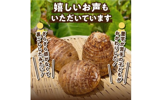 【2025年先行予約】新鮮おいしい！里芋（石川早生丸） 2kg 5月お届け　C056-001