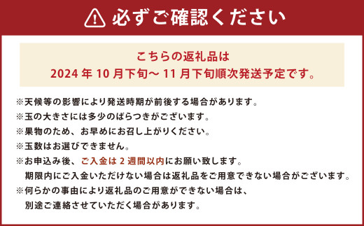 福岡県産ブランドキウイ・甘うぃ 約1.5kg （12-15玉） キウイフルーツ 【2024年10月下旬～11月下旬発送予定】