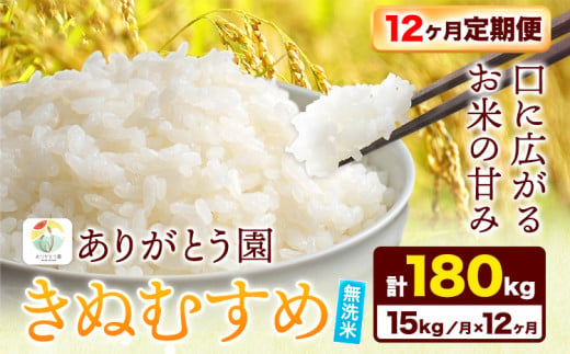 187.【12ヶ月定期便】令和6年産 米 岡山県産 きぬむすめ 無洗米 選べる 15kg ありがとう園《お申込み月の翌月から出荷開始》岡山県 矢掛町 無洗米 米 コメ 一等米 定期便 定期