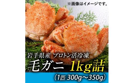 活毛ガニのプロトン凍結 1kg 