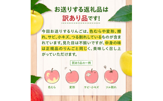 【2024年12月中旬発送】【訳あり】 りんご 青森産 約5kg サンふじ 金星