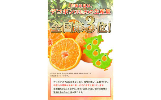 ＜先行予約＞【お味濃厚】紀州有田産の大玉デコポン約5kg(12玉～15玉入り・青秀以上) 厳選館 《2025年1月上旬-4月上旬頃出荷》和歌山県 日高川町 デコポン でこぽん 柑橘 不知火 しらぬい 大玉 送料無料