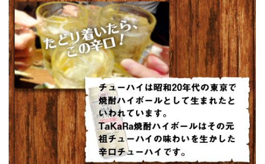 ＜TaKaRa 焼酎ハイボール ドライ 500ml×24本＞翌月末迄に順次出荷