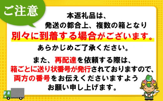 【2025年1月13日で掲載終了】アクエリアス 2L(2ケース)計12本【コカコーラ 熱中症対策 スポーツ飲料 スポーツドリンク 水分補給 カロリーオフ ペットボトル 健康 スッキリ ミネラル アミノ酸 クエン酸 リフレッシュ 常備 保存 買い置き】 A-C047044