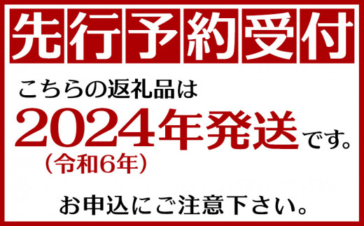 南国奄美の秀品パッションフルーツ 1kg【2024年発送】