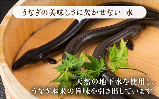 お店と変わらない味！？ふっくらジューシーのこだわり国産うなぎ蒲焼・白焼3枚セット（うなぎ蒲焼2枚・白焼1枚）【丸安】 [FAD001]