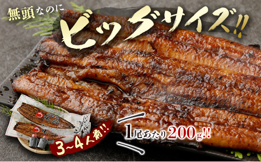 ［数量限定］満足サイズ!! 味鰻 うなぎ蒲焼き 2尾セット 合計約400g（無頭）化粧箱入 熨斗対応可【C421-2311】