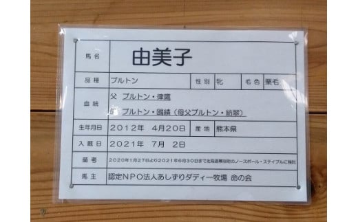 由美子・ピンクの花馬車夢のプロジェクト実現に向けて！あしずりダディー牧場応援（３万円コース）クラウンドファンディング クラファン 馬主 競馬 動物【R00644】