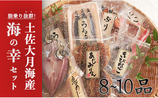 土佐大月海産　海の幸セット　8～10品