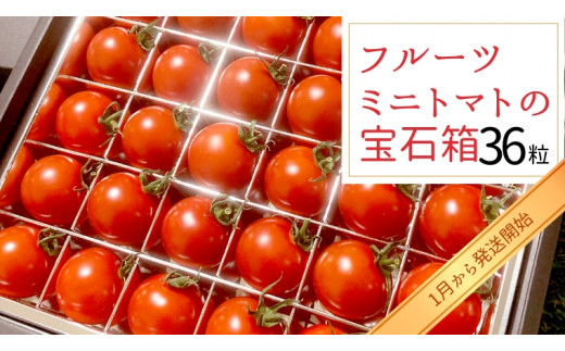 フルーツミニトマト の 宝石箱 36粒 【令和6年1月から発送開始】 野菜 トマト フルーツ ミニトマト フルーツ