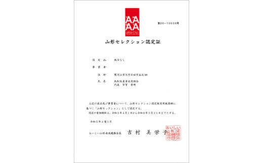 【先行予約（2024年度発送）】糖度14度以上 洋梨 「山形セレクション ラ・フランス」約3kg  なし ナシ 梨 デザート フルーツ 果物 くだもの 果実 食品 山形県 FSY-0805