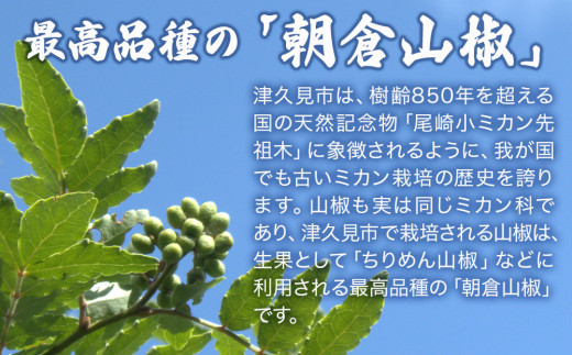 数量限定！朝倉山椒 500ｇ×2箱 生山椒 枝付き さんしょう サンショウ 花椒 ホアジャオ スパイス 調味料 大分県産 九州産 津久見市 国産