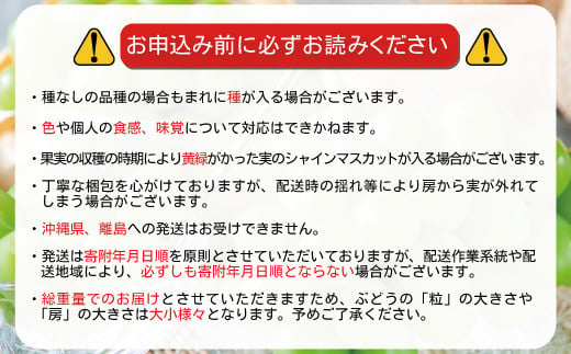 [No.5657-3556]冷蔵 シャインマスカット 約1.2kg（約2～3房）《田子農園》■2024年発送■※11月上旬頃～12月下旬頃まで順次発送予定