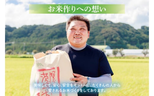 【令和6年産】鹿嶋市産ミルキークイーン(5kg×1袋)【お米 米 鹿嶋市 茨城県 白米 新米 おにぎり ごはん 15000円以内 】(KBS-8）