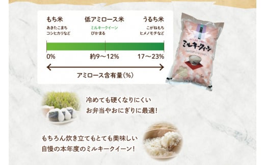 【令和6年産】鹿嶋市産ミルキークイーン(5kg×1袋)【お米 米 鹿嶋市 茨城県 白米 新米 おにぎり ごはん 15000円以内 】(KBS-8）