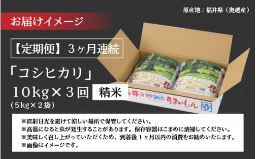 【3ヶ月連続定期便】令和6年産 福井県産奥越コシヒカリ5kg ×2袋（10kg × 3ヶ月） [H-015004]