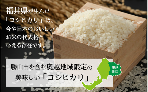 【3ヶ月連続定期便】令和6年産 福井県産奥越コシヒカリ5kg ×2袋（10kg × 3ヶ月） [H-015004]