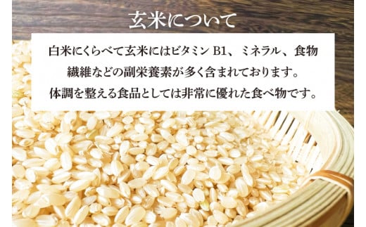 【新米 令和6年産】 完熟夕陽米 (玄米) 10kg (5kg×2) ひとめぼれ 特別栽培米 生産農家直送 (CP035)