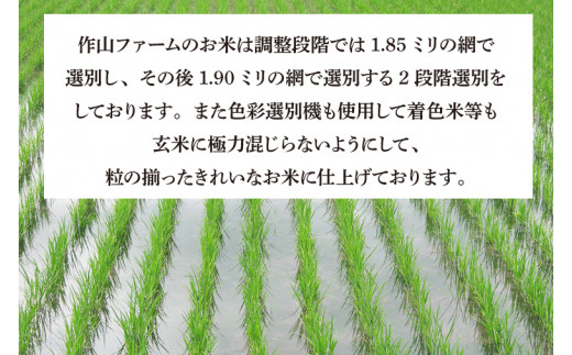 【新米 令和6年産】 完熟夕陽米 (玄米) 10kg (5kg×2) ひとめぼれ 特別栽培米 生産農家直送 (CP035)