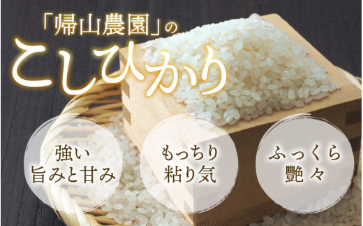 【令和6年産 新米】【6ヶ月定期便】越前大野産 一等米 帰山農園の棚田育ちコシヒカリ 玄米 5kg × 6回 計30kg 