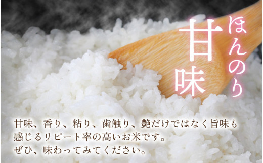 【令和6年産 新米】【6ヶ月定期便】越前大野産 一等米 帰山農園の棚田育ちコシヒカリ 玄米 5kg × 6回 計30kg 