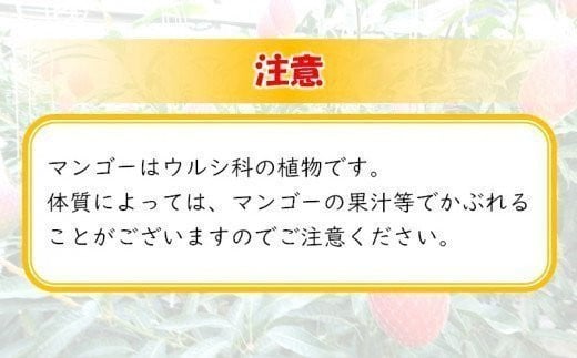 最高級ブランド『太陽のタマゴ』3Lサイズ2個または、2Lサイズ3個【糖度15度以上】宮崎県西都市産完熟マンゴー【先行予約】＜3-48＞宮崎マンゴー