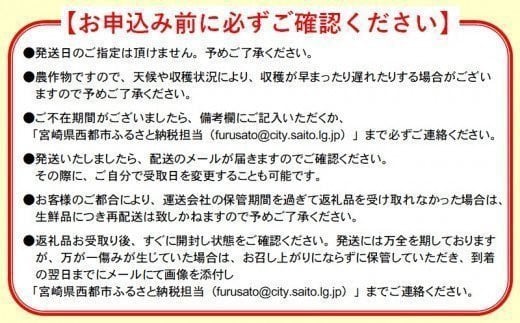 最高級ブランド『太陽のタマゴ』3Lサイズ2個または、2Lサイズ3個【糖度15度以上】宮崎県西都市産完熟マンゴー【先行予約】＜3-48＞宮崎マンゴー