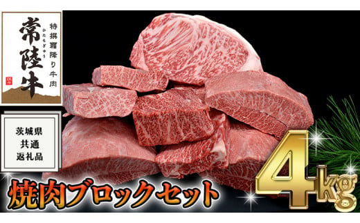 【 常陸牛 】 焼肉 ブロック セット 4kg ( 茨城県共通返礼品 ) 国産 焼き肉 サーロイン カルビ バラ バーベキュー BBQ お肉 ブランド牛