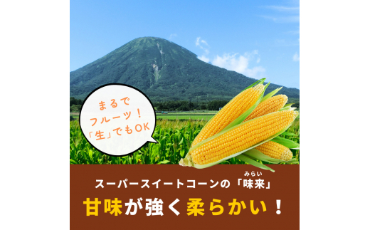 2024年夏発送！ 北海道羊蹄山麓 スイートコーン「味来」2Lサイズ 26本［JAようてい］【 野菜 とうもろこし とうきび みらい 生 冷蔵 】