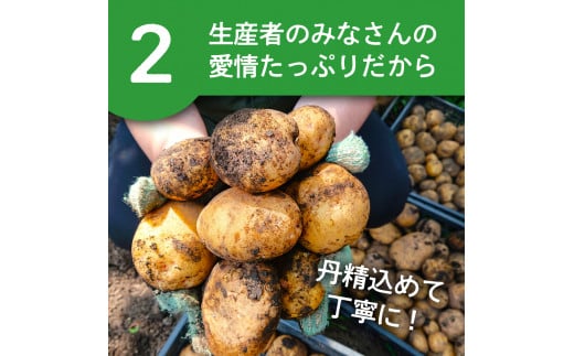 【期間限定】じゃがいも (北あかり) 5kg サイズいろいろ バラバラ 野菜 ジャガイモ ポテト キタアカリ きたあかり 訳あり 岩手県 金ケ崎町