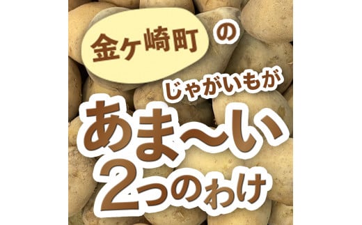 【期間限定】じゃがいも (北あかり) 5kg サイズいろいろ バラバラ 野菜 ジャガイモ ポテト キタアカリ きたあかり 訳あり 岩手県 金ケ崎町