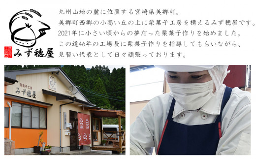 【期間限定発送】 溶けない フルーツバー 12本 セット [栗菓子工房みず穂屋 宮崎県 美郷町 31at0010] ギフト 夏限定 葛 アイス スイーツ ひんやり もっちり 冷凍 送料無料 母の日 父の日 プレゼント ギフト 青りんご ストロベリー いちご ピーチ マンゴー レモン ブルーベリー