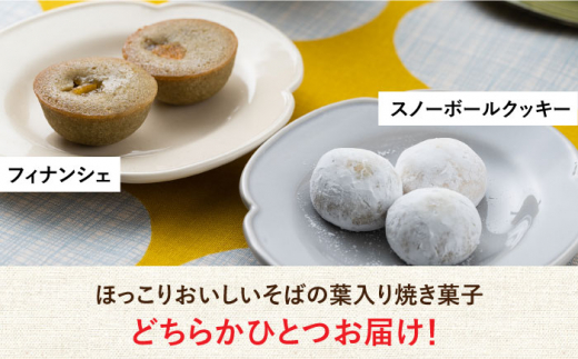 【島のめぐみ 対州そば】 青汁 30日分 / コーヒー / 焼き菓子 セット 《対馬市》【 特定非営利活動法人 對馬次世代協議会（対馬コノソレ）】そば スイーツ セット 美容 健康 [WAM009]