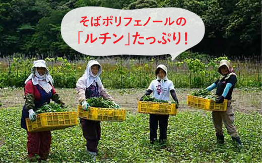 【島のめぐみ 対州そば】 青汁 30日分 / コーヒー / 焼き菓子 セット 《対馬市》【 特定非営利活動法人 對馬次世代協議会（対馬コノソレ）】そば スイーツ セット 美容 健康 [WAM009]