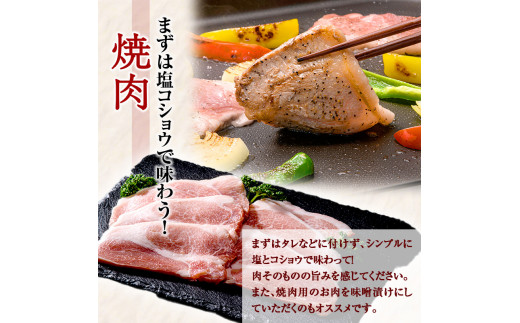 FKP9-285【3ヵ月定期】一勝地赤豚焼肉セット(1kg)