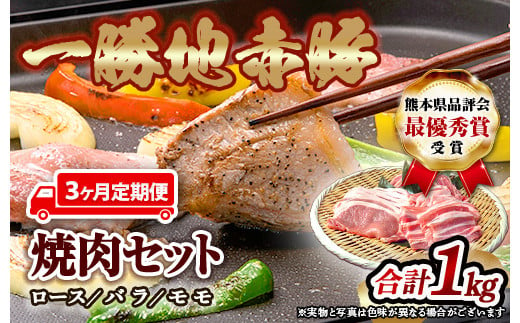 FKP9-285【3ヵ月定期】一勝地赤豚焼肉セット(1kg)